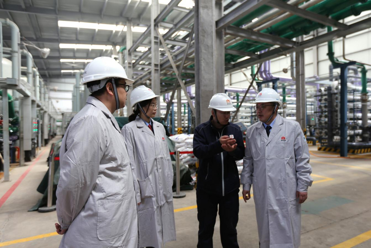 稅務服務賦新能，創新驅動贏未來——資源再生利用技術研發的機遇與路徑
